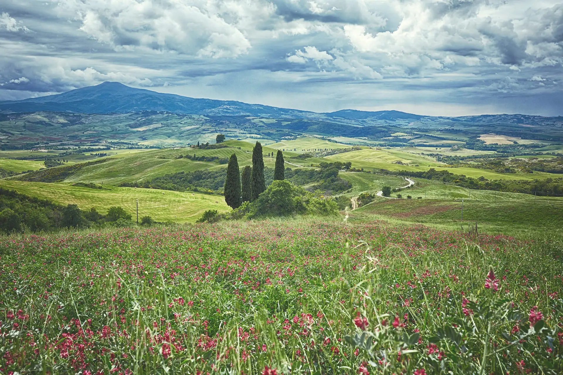 sublime val d orcia wedding