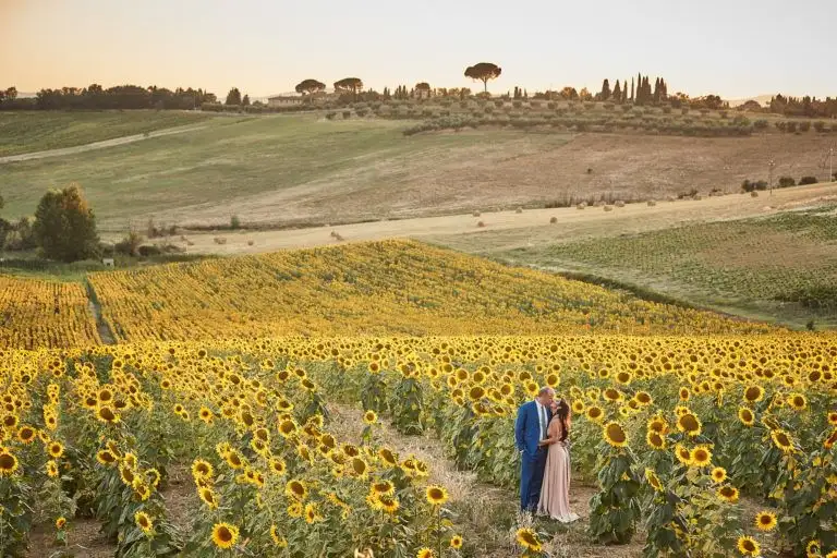 sunflowers tuscany