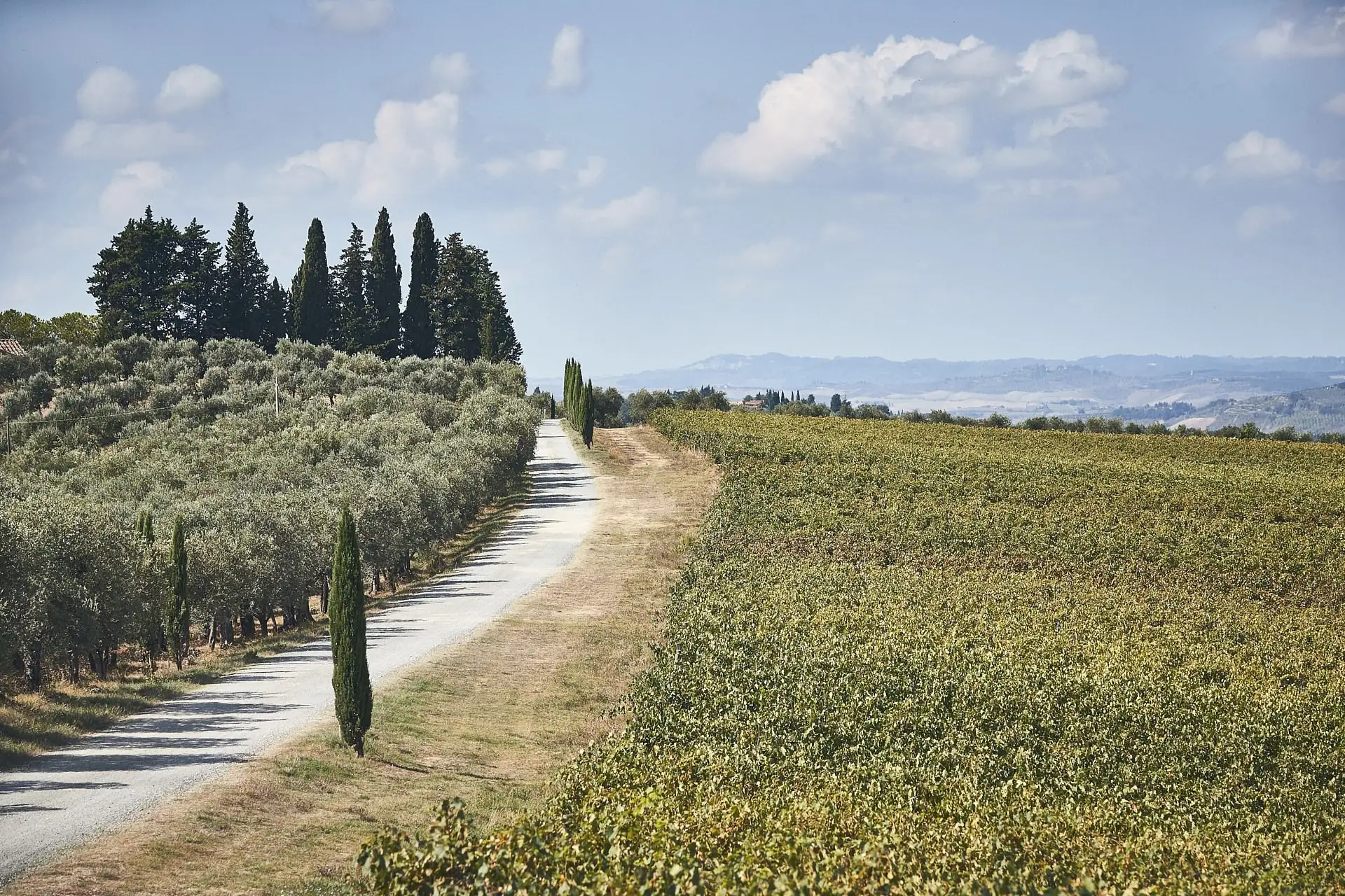 tenuta di sticciano wedding