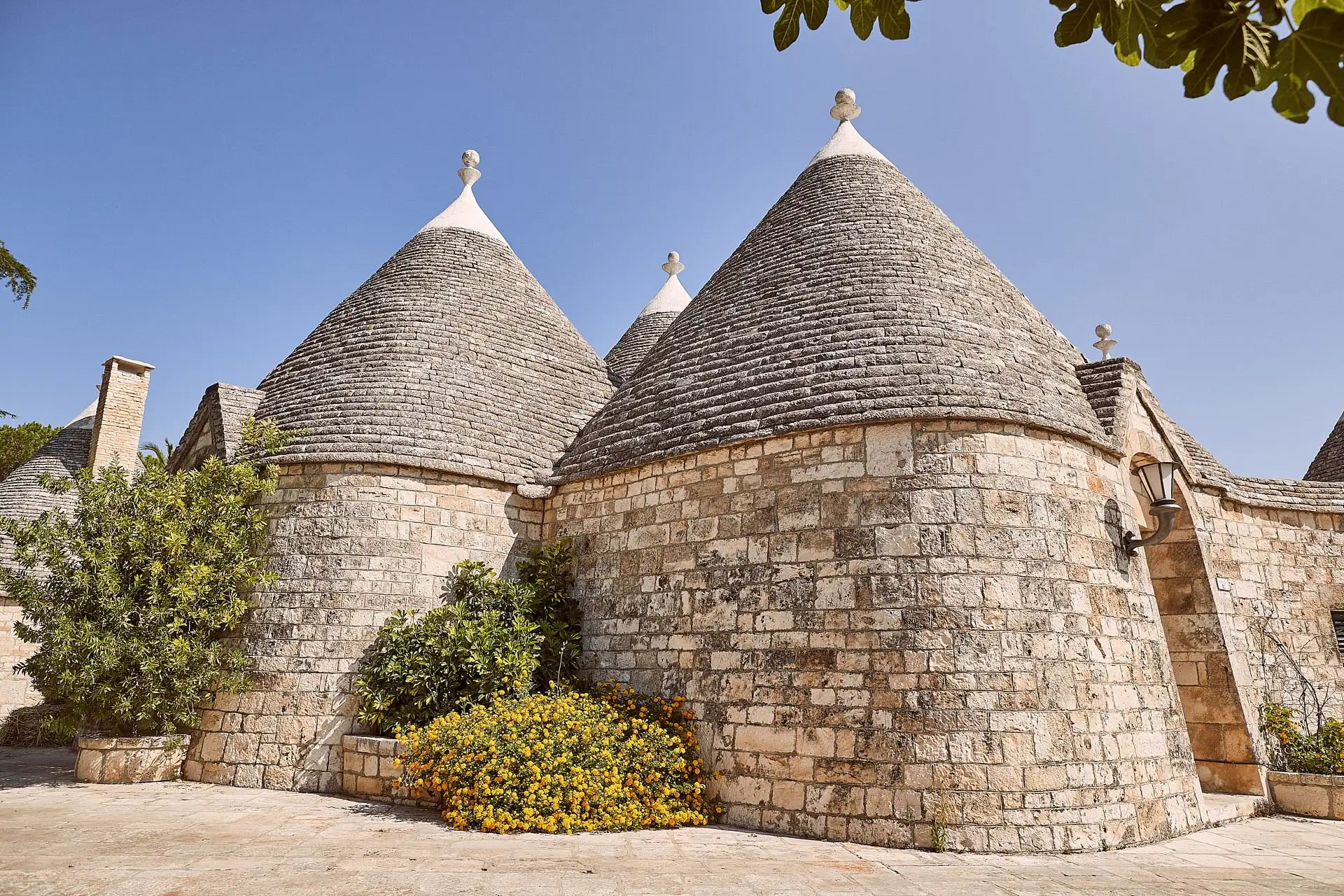 tenuta monacelle wedding