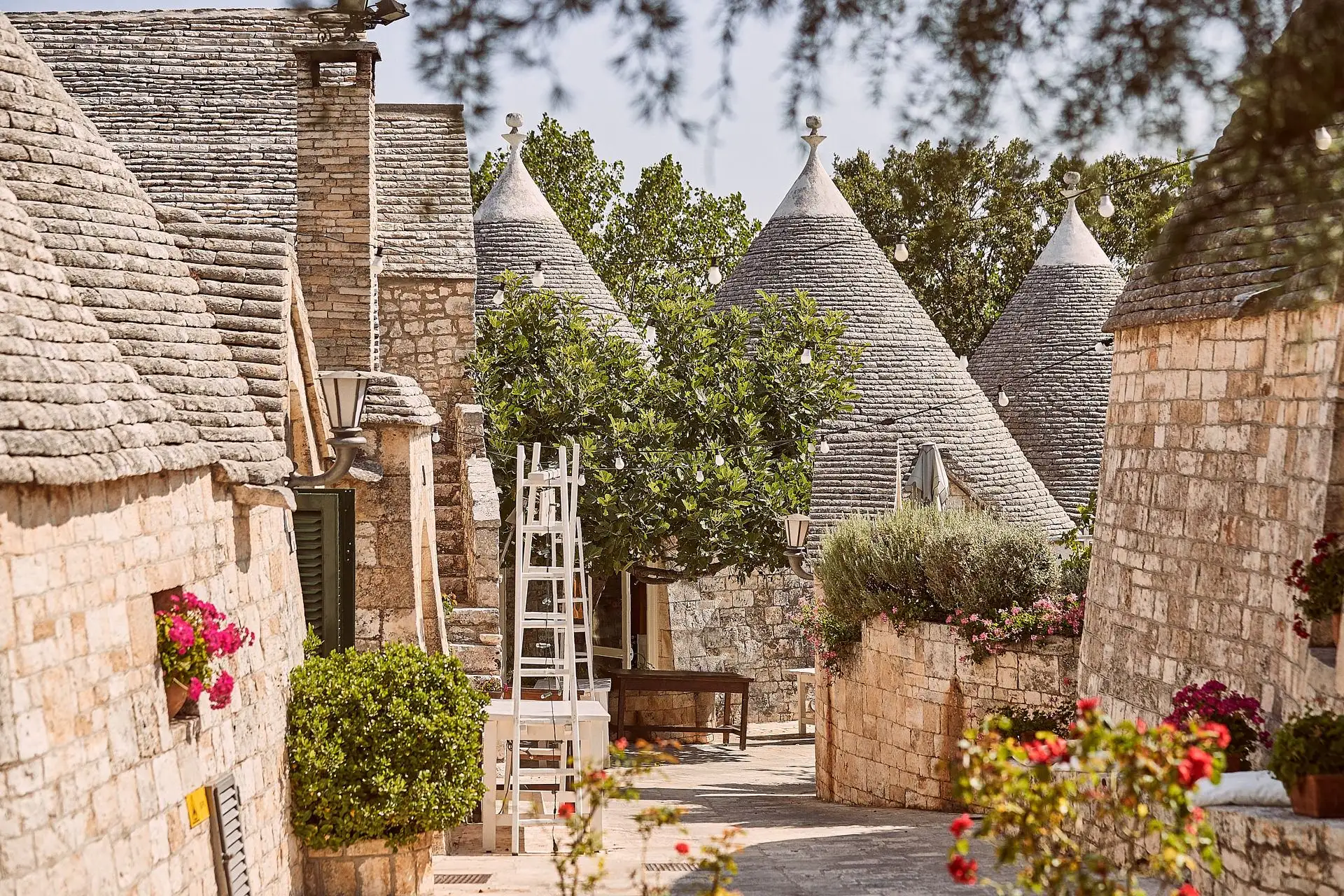 tenuta monacelle wedding