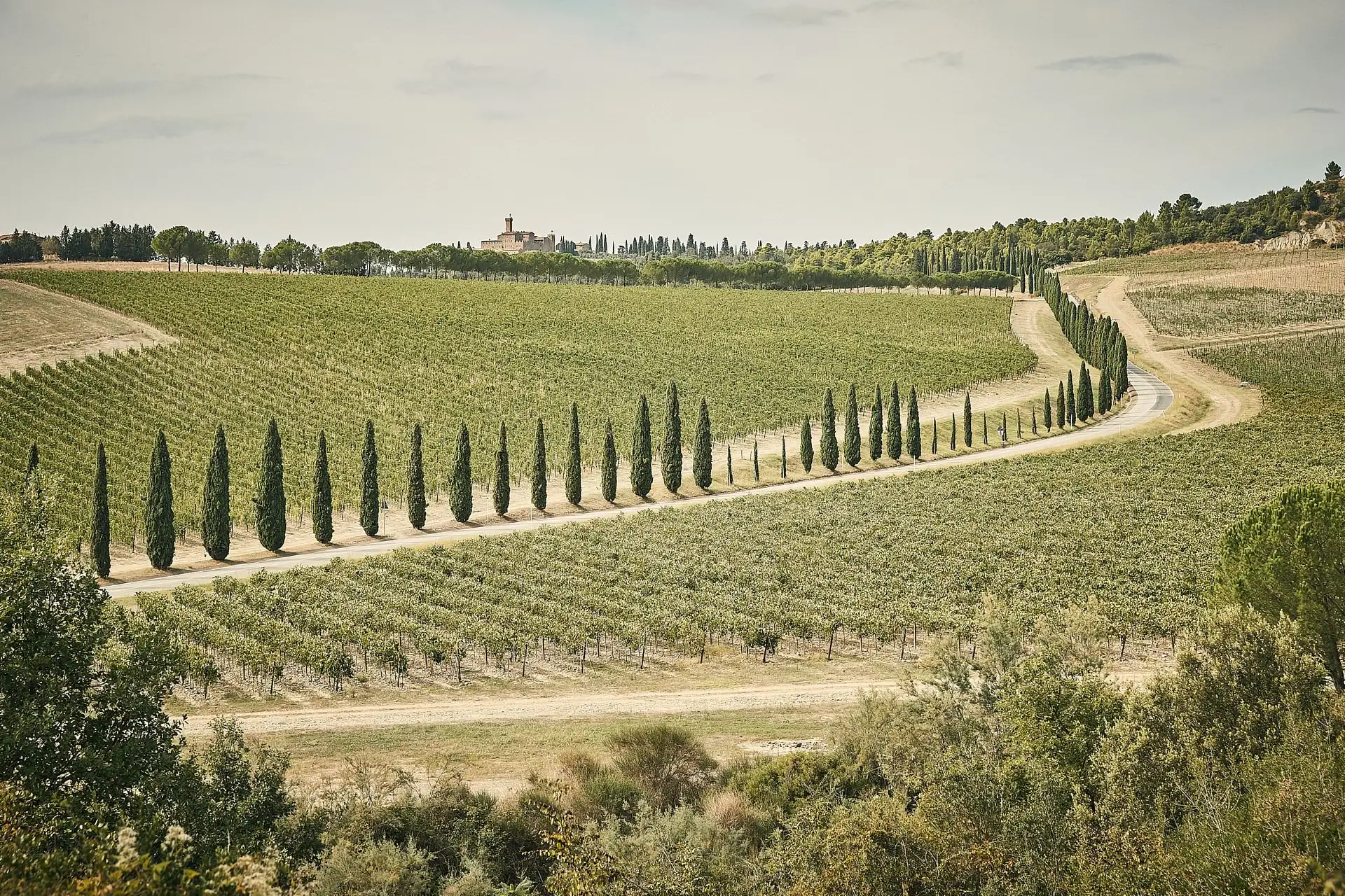 tuscan winery wedding