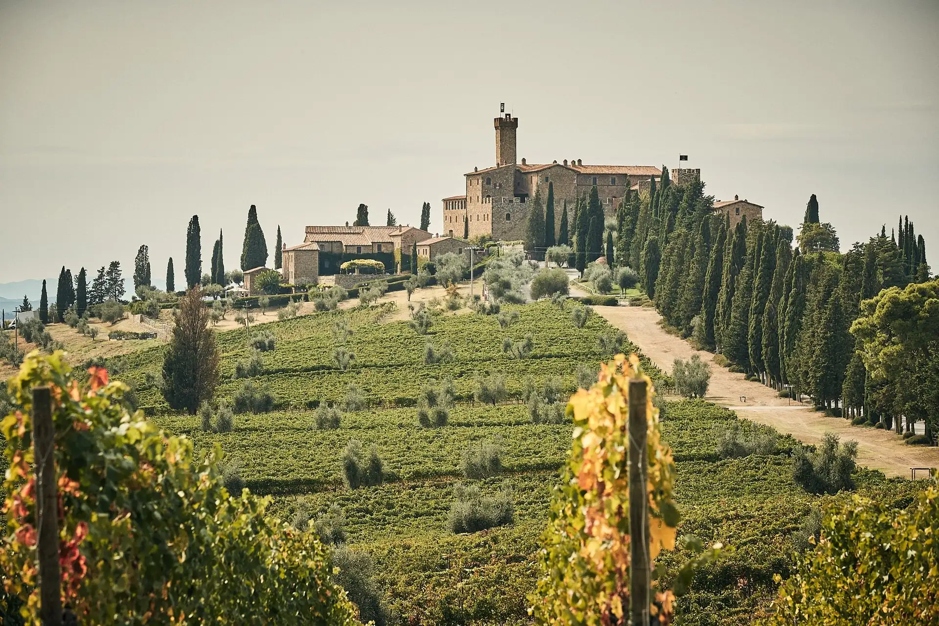 tuscan winery wedding