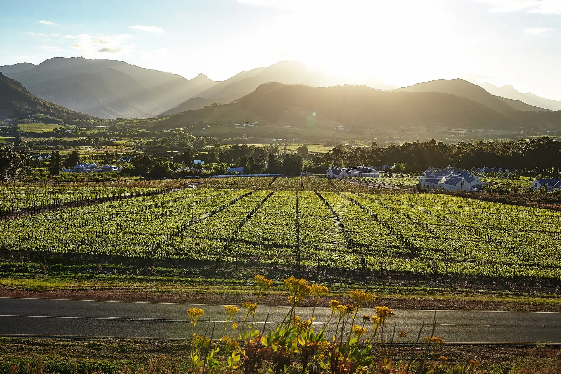 val de vie wedding south africa