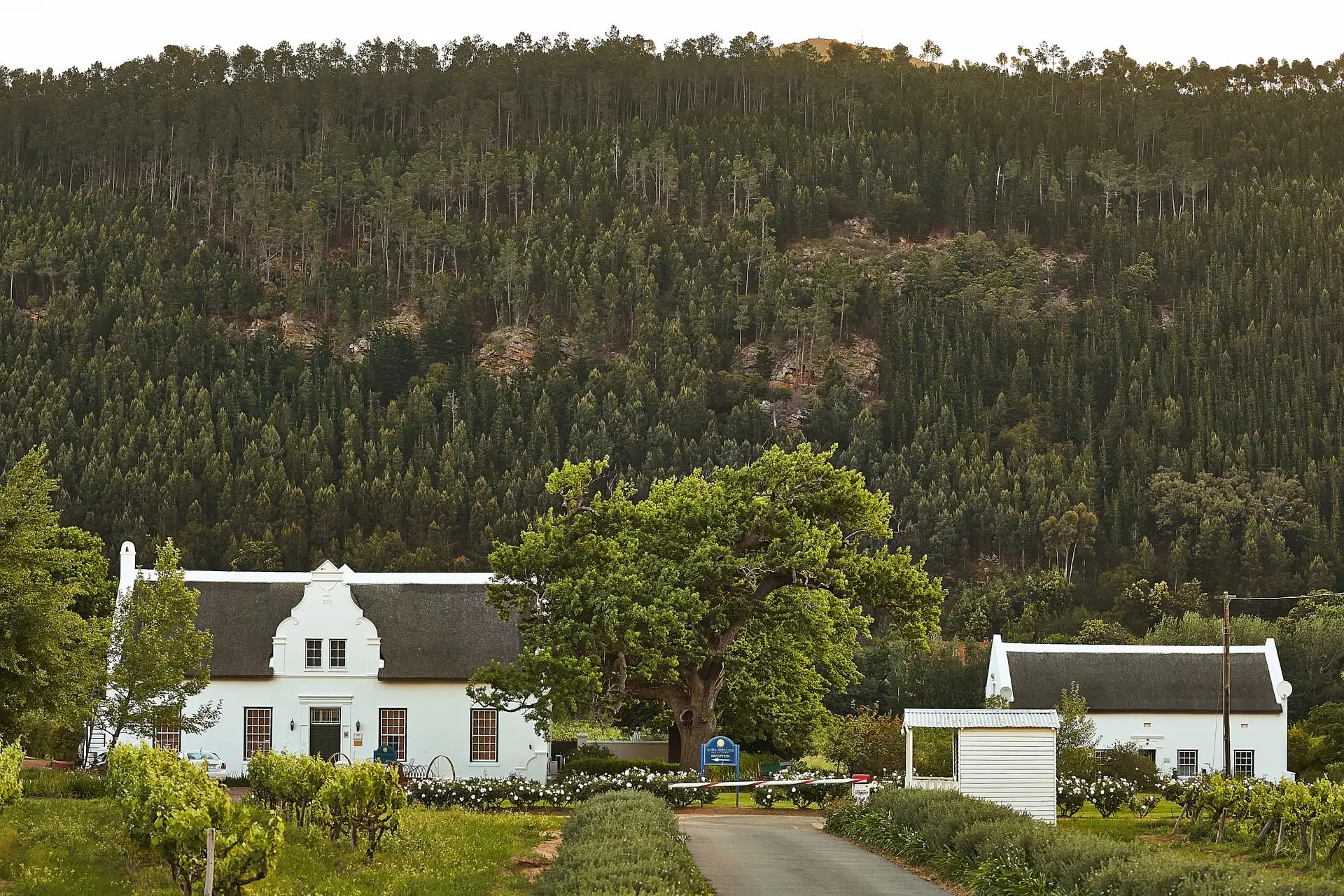 val de vie wedding south africa