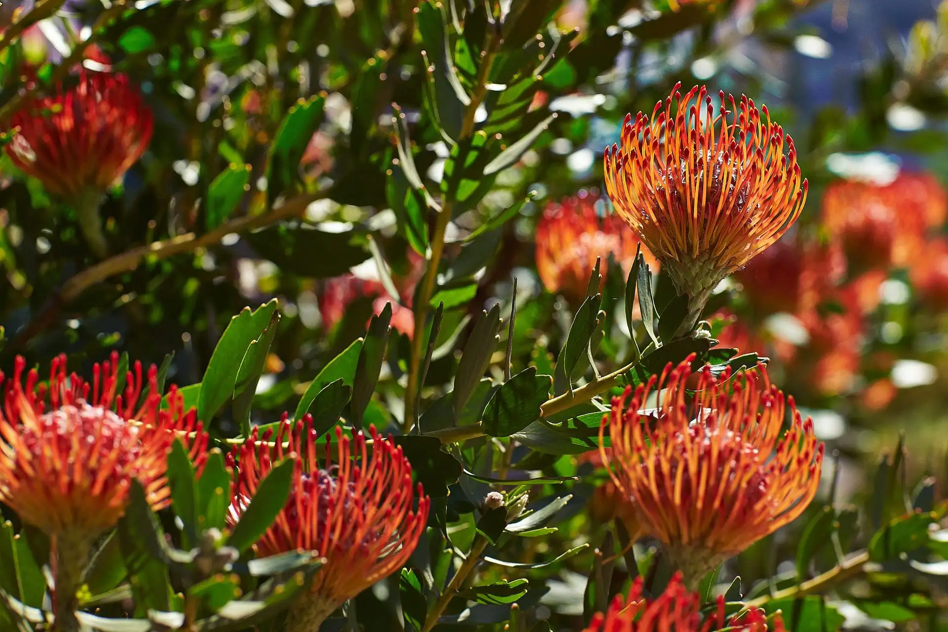 val de vie wedding south africa