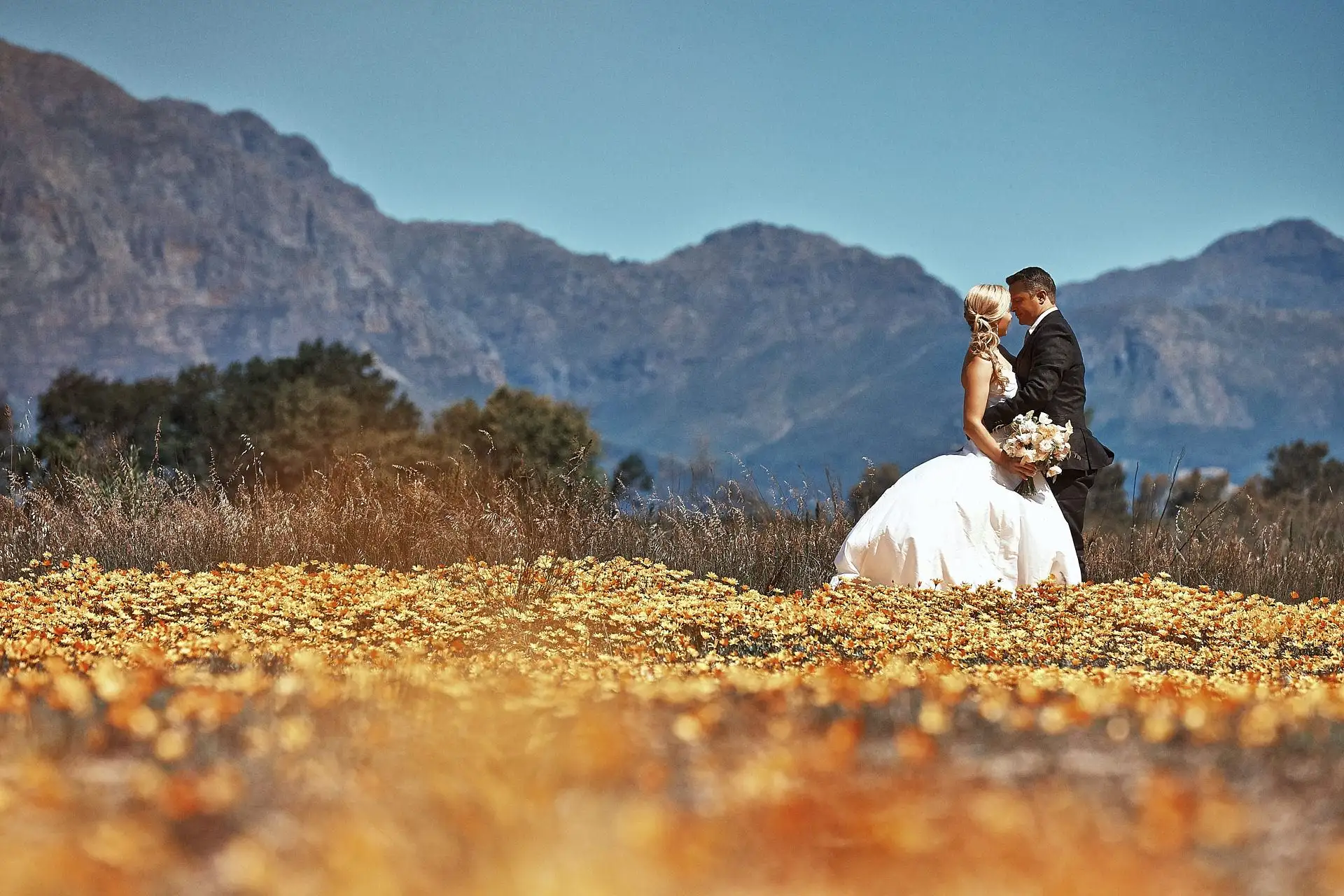 val de vie wedding south africa