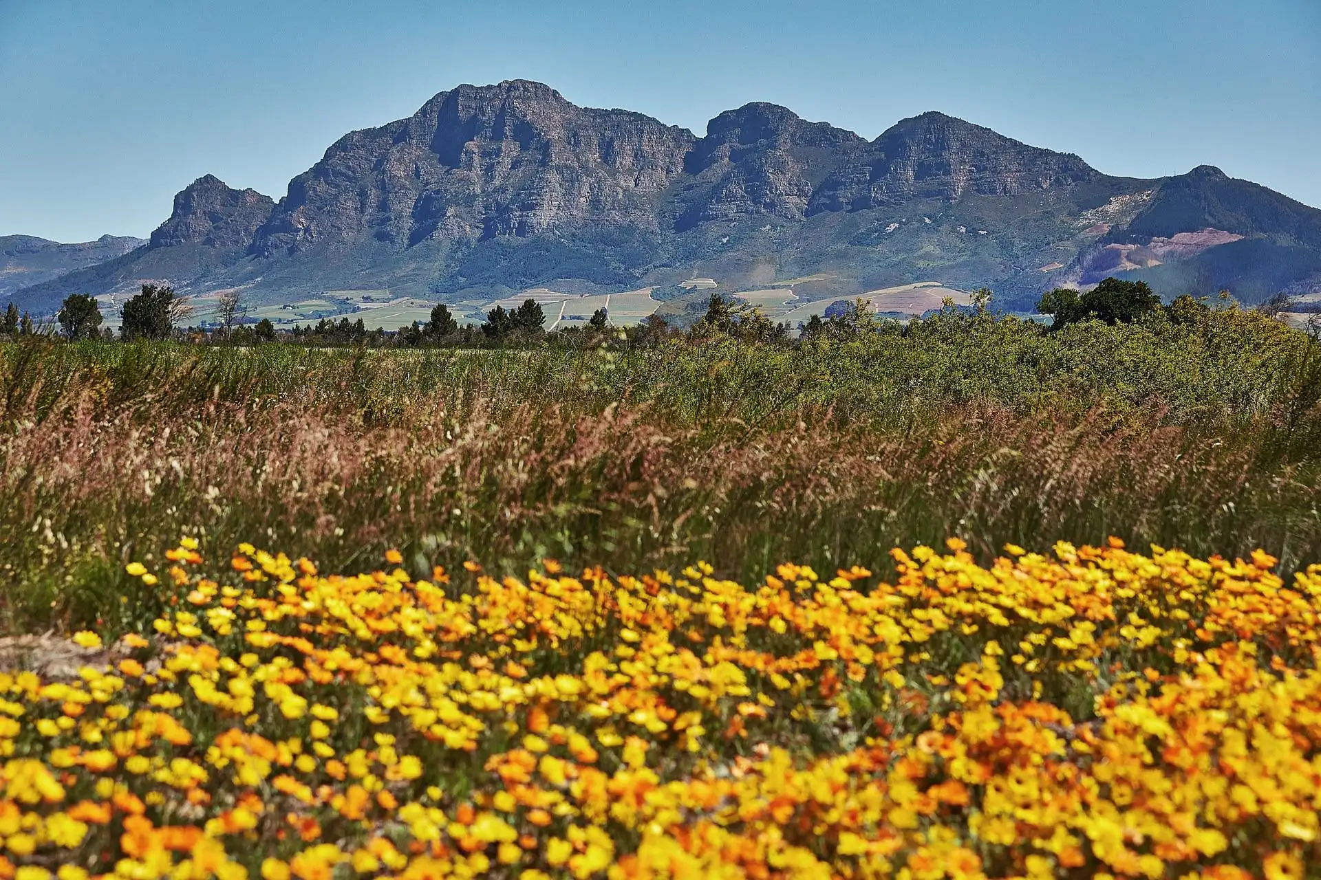 val de vie wedding south africa