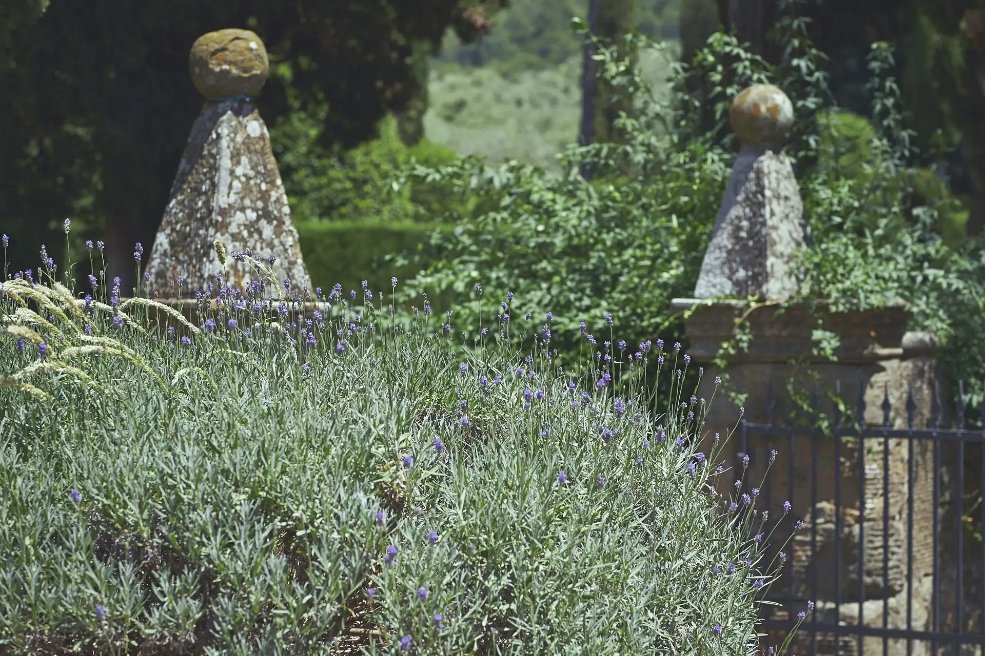 vignamaggio wedding