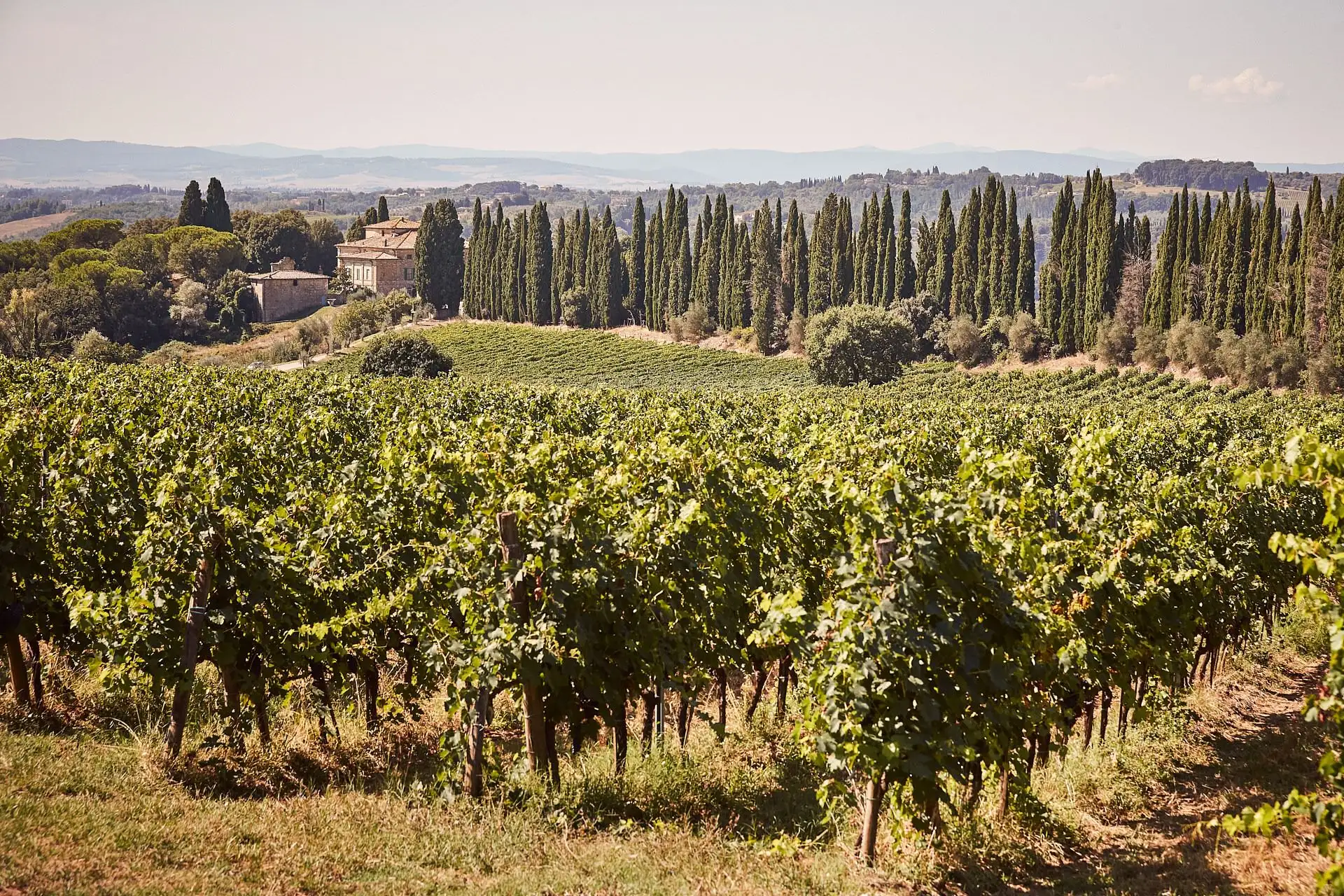 villa catignano wedding in tuscany