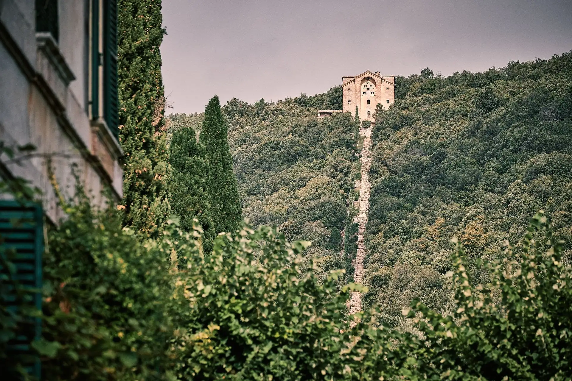 villa cetinale wedding