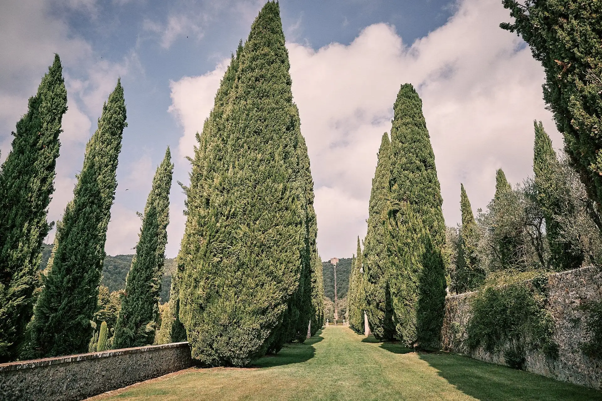 villa cetinale wedding