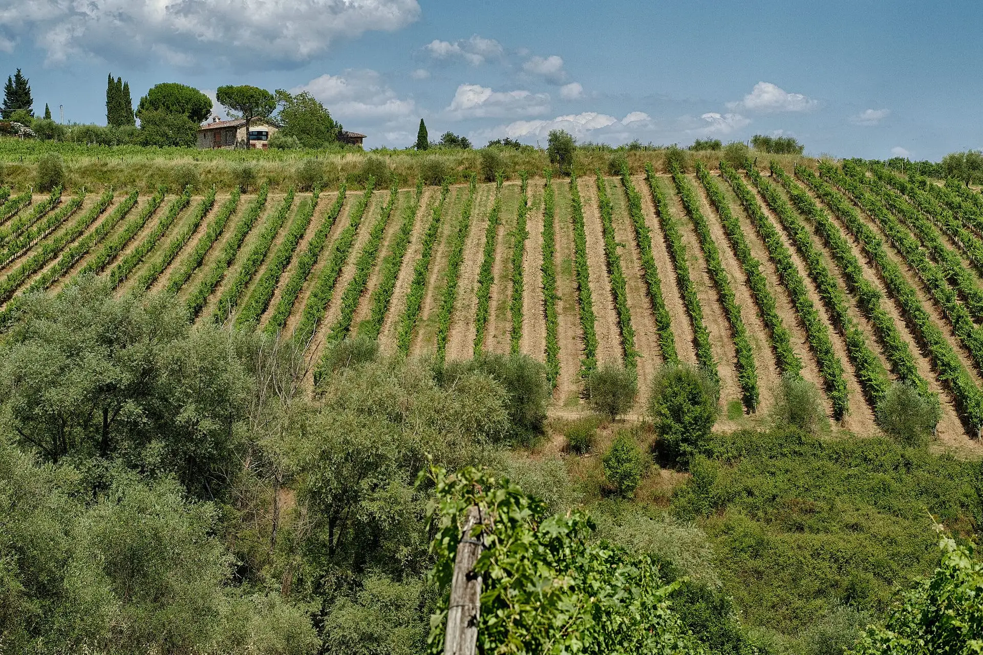 villa di geggiano wedding