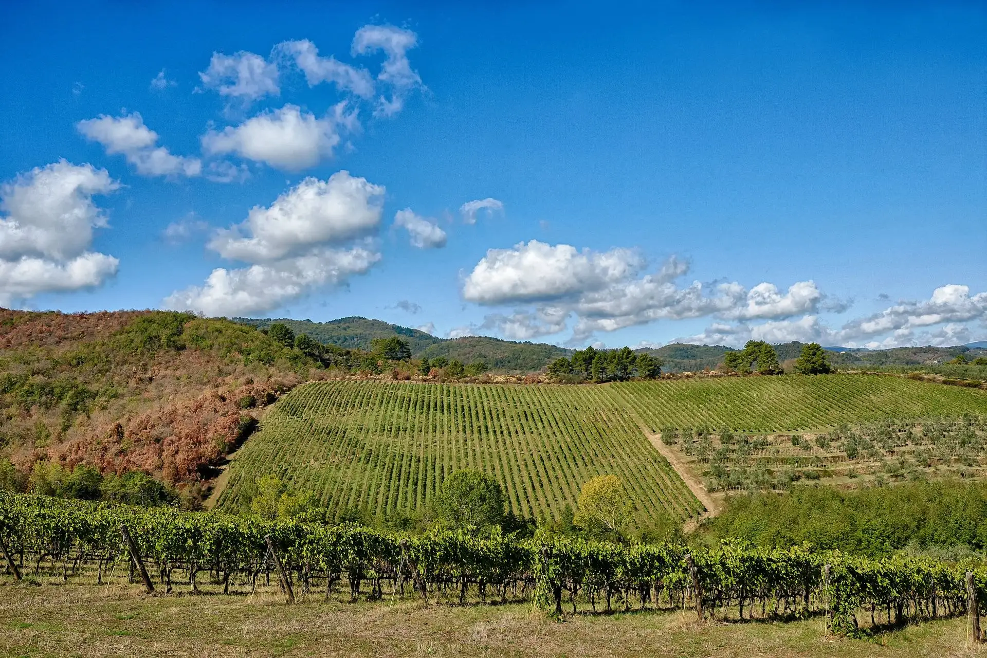 villa petrolo wedding in tuscany