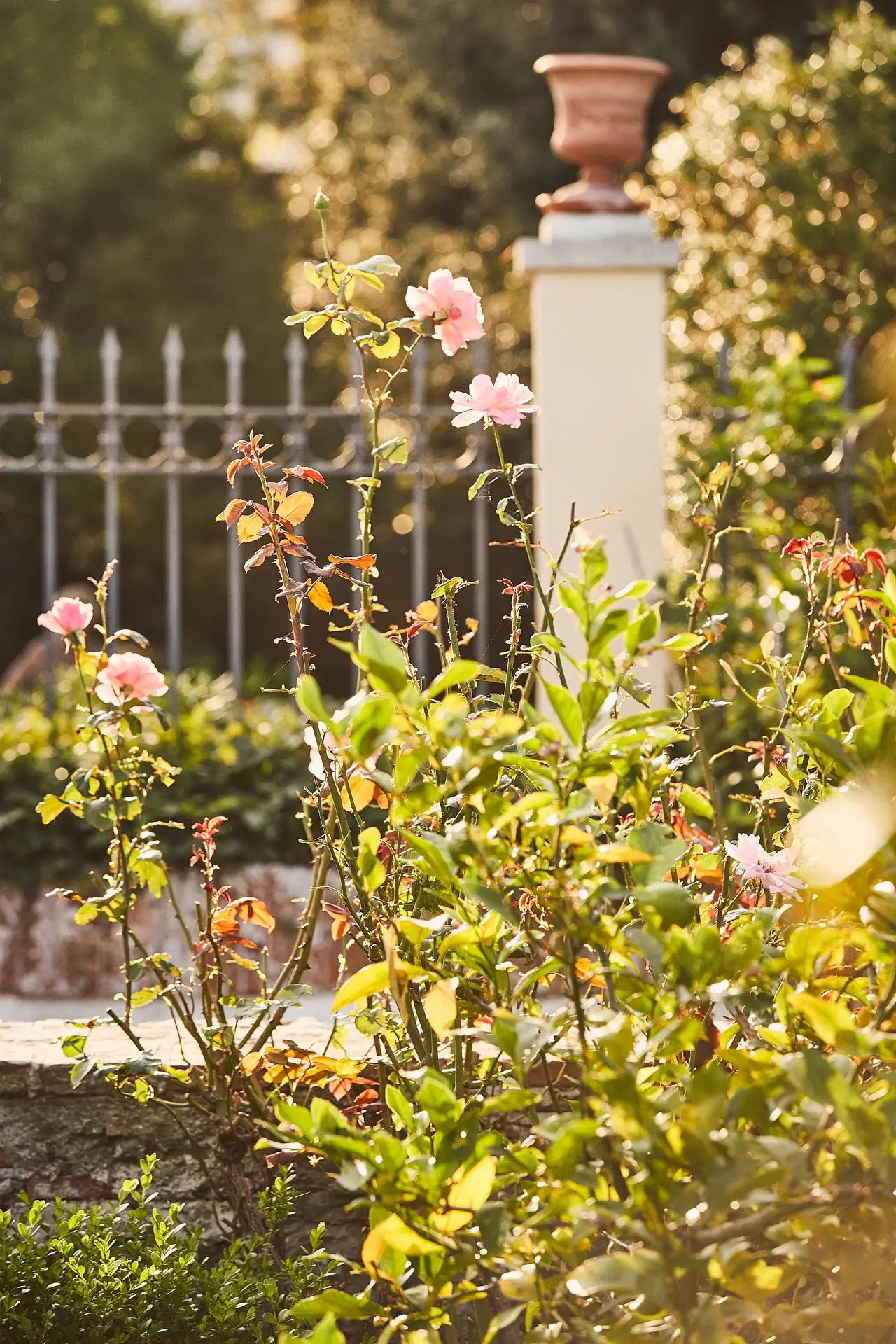 villa scorzi wedding