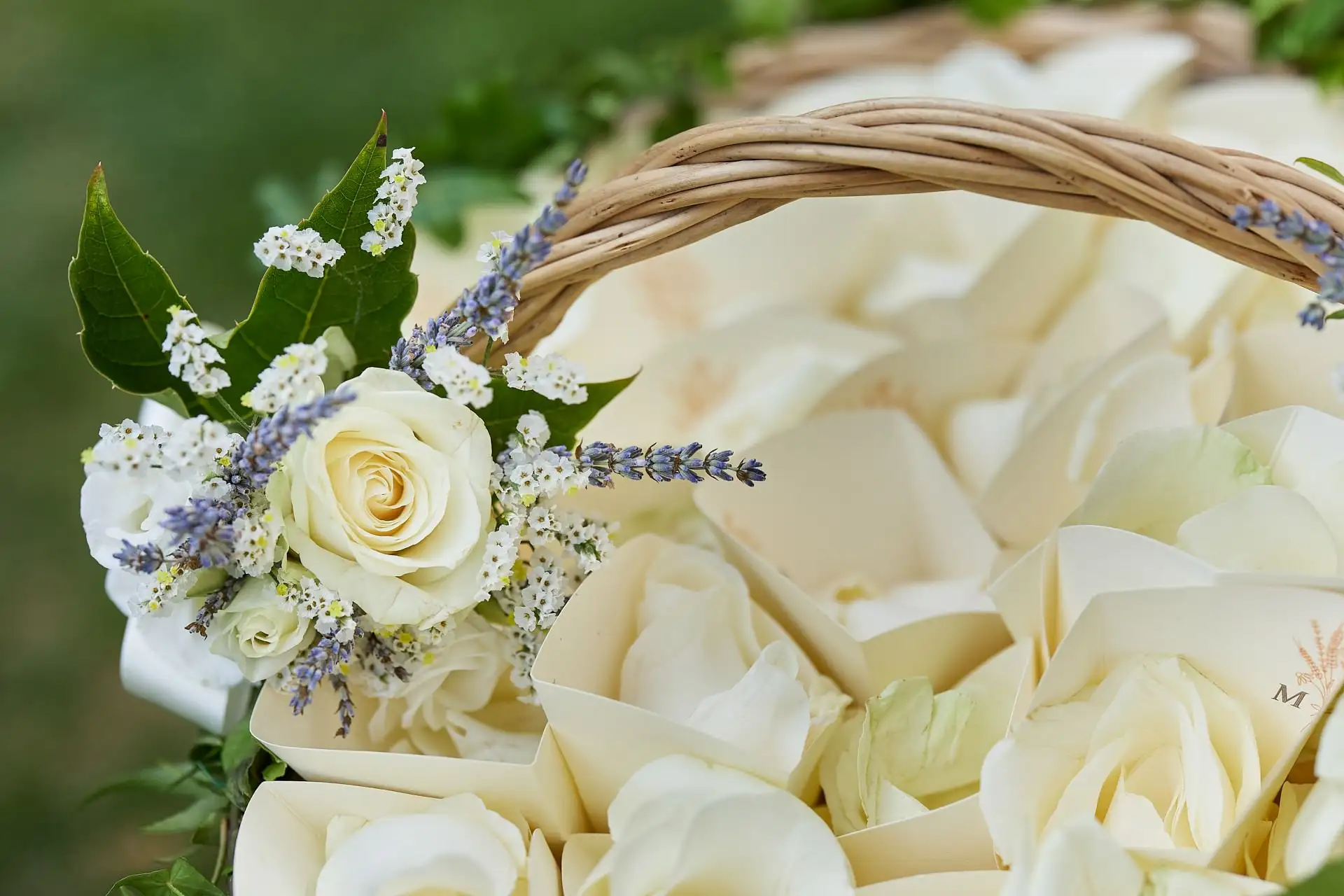 andana wedding