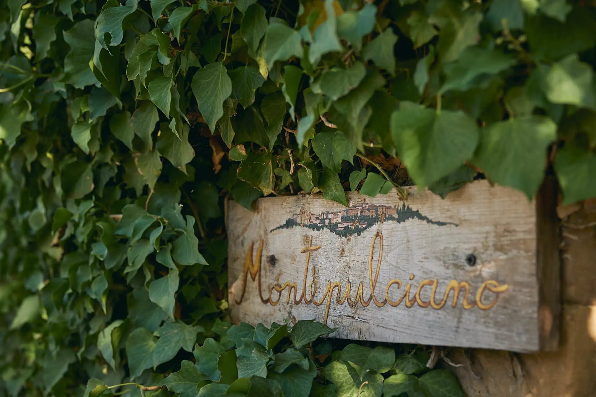 lesbian elopement wedding in italy