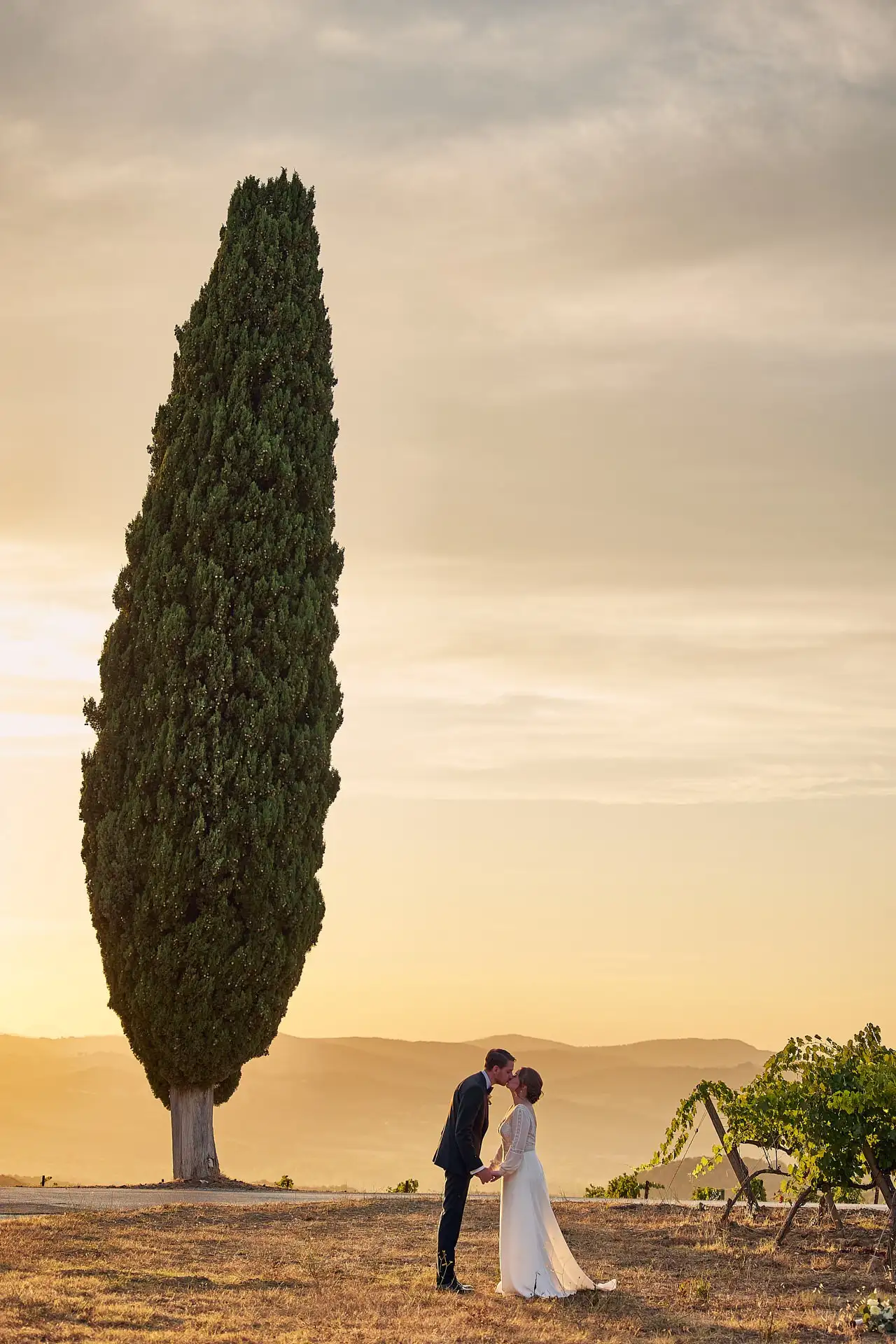 intimate vineyard elopement