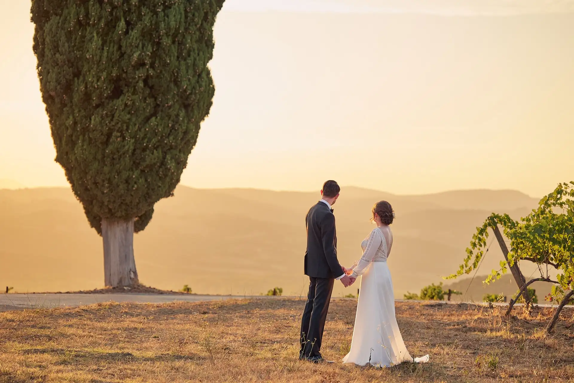 intimate vineyard elopement
