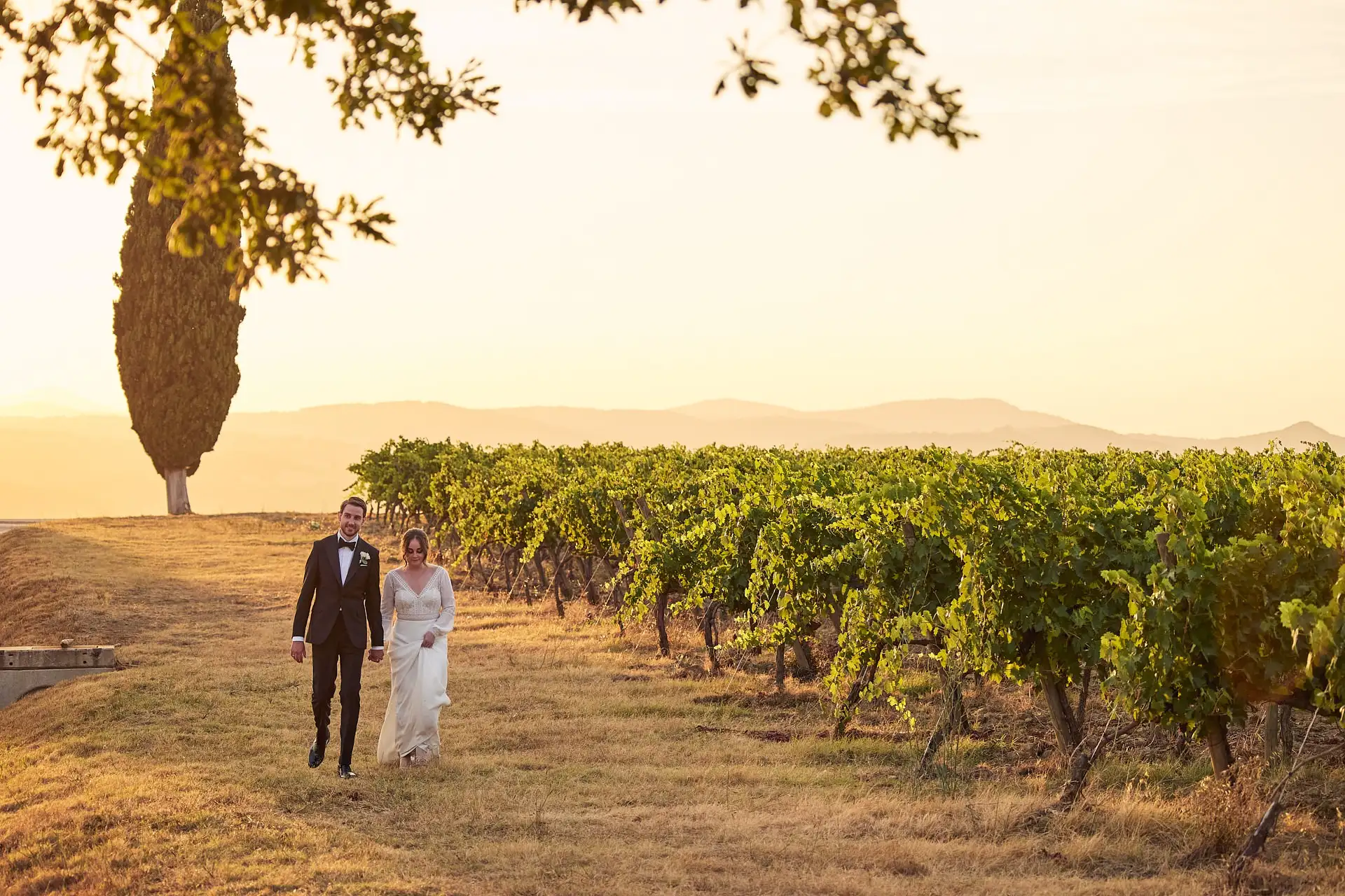 intimate vineyard elopement
