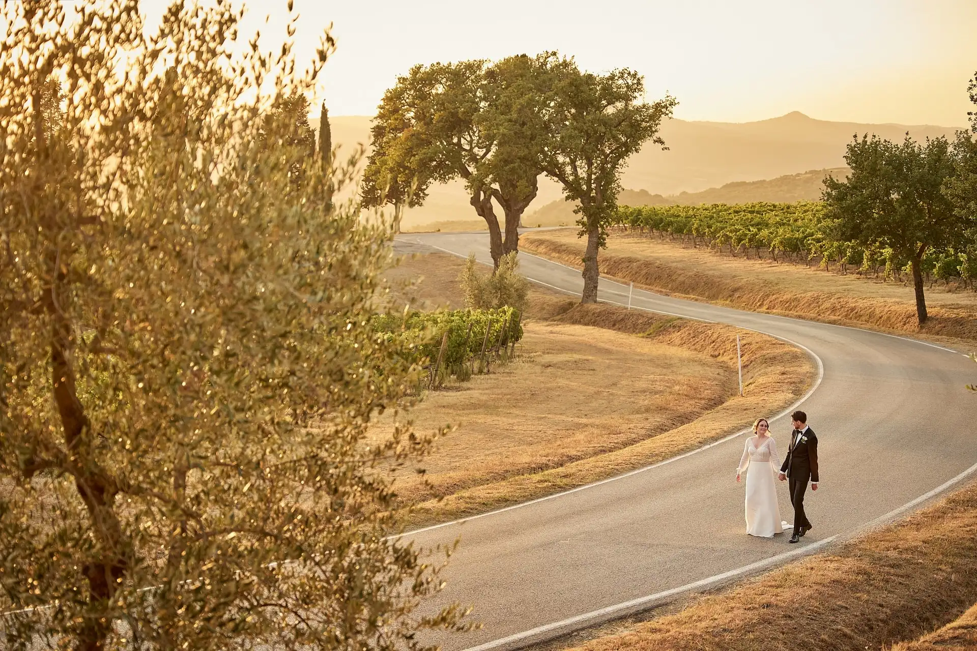 intimate vineyard elopement