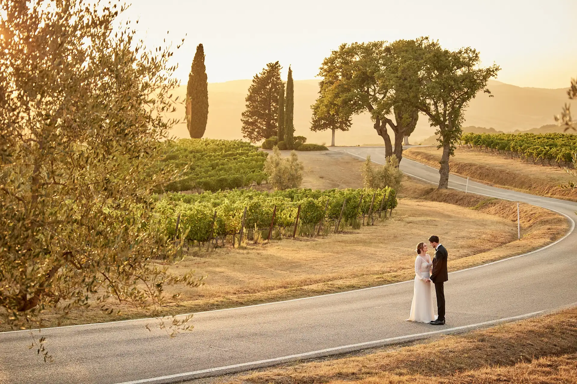 intimate vineyard elopement