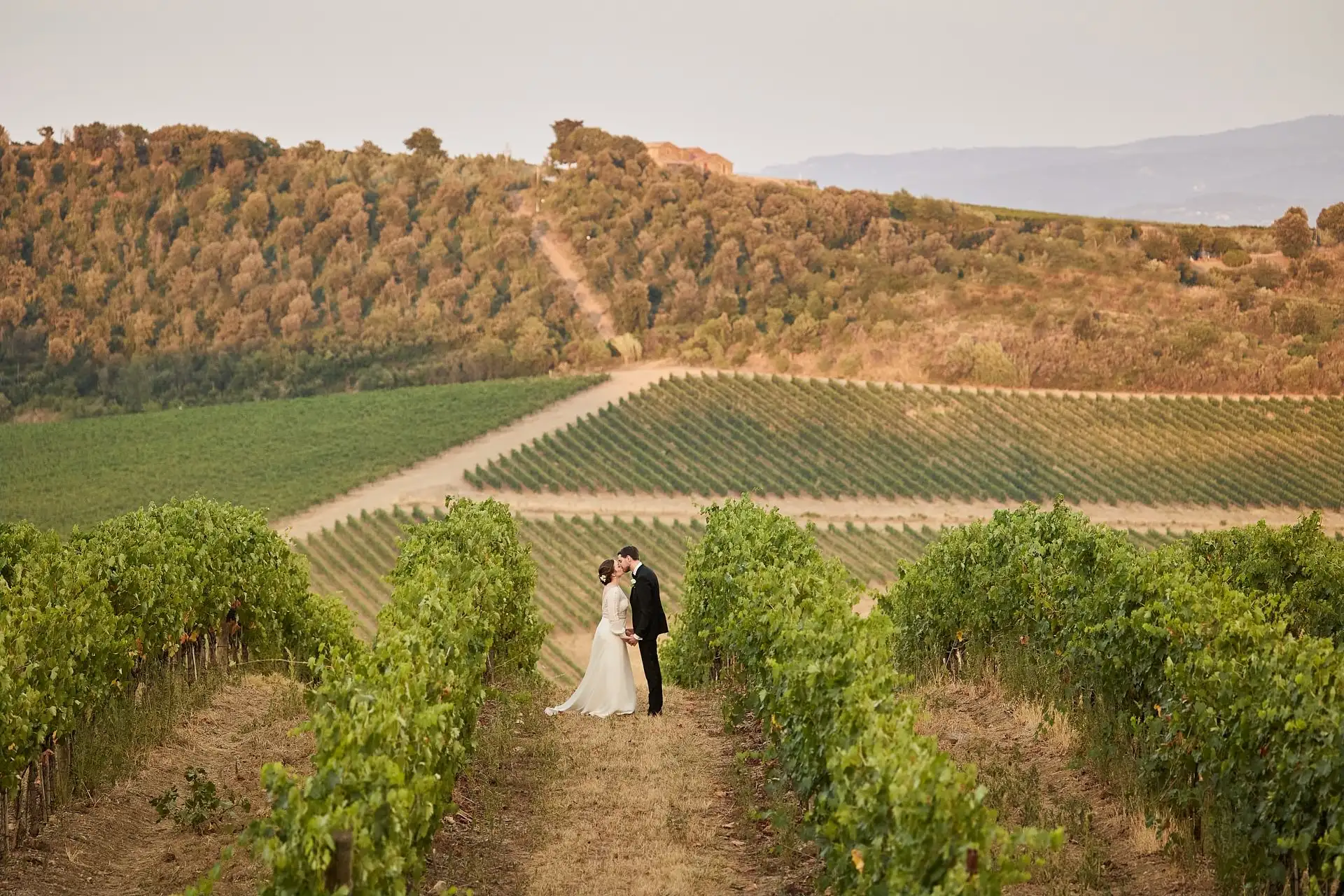 intimate vineyard elopement