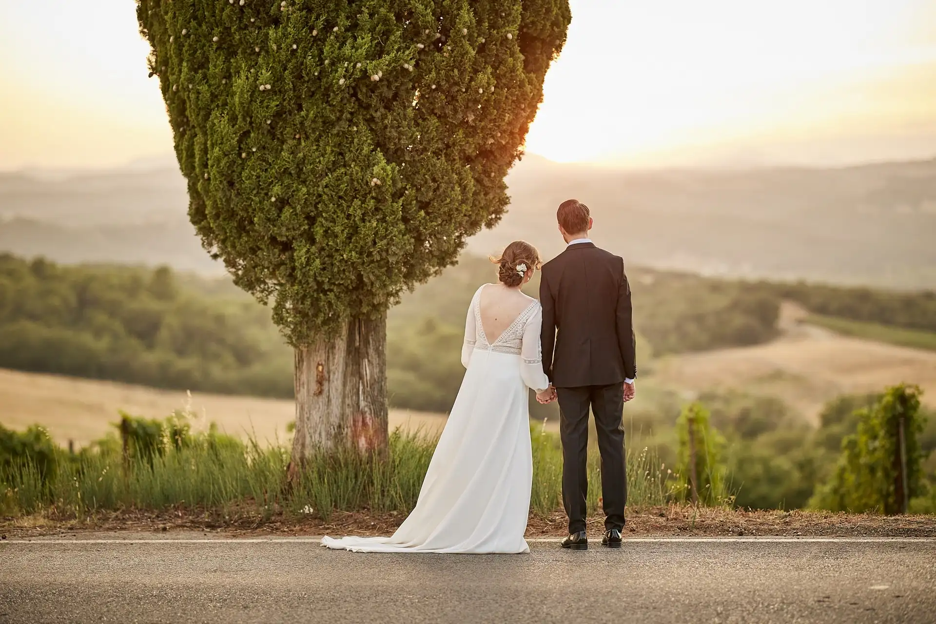 intimate vineyard elopement