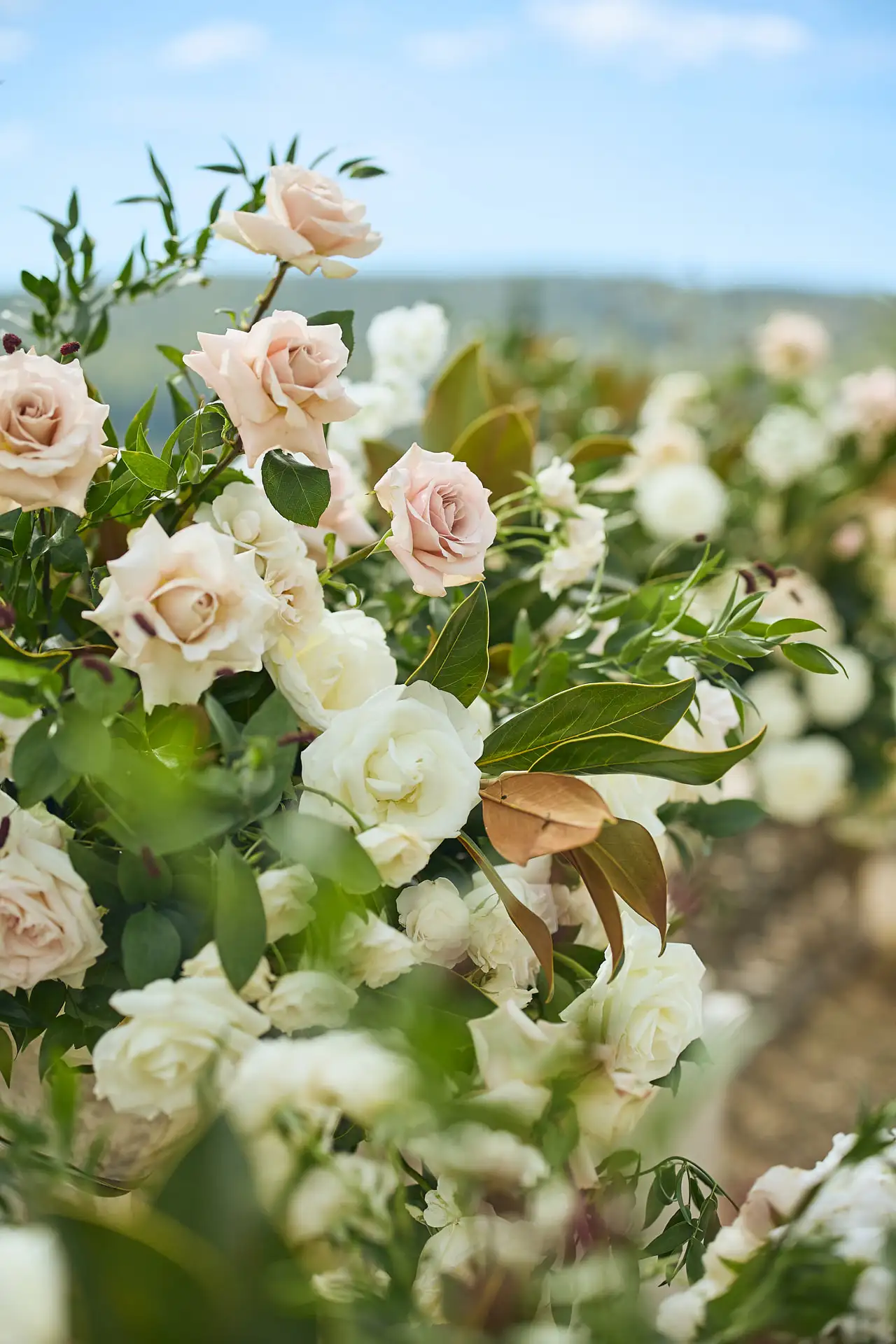 castello di celsa wedding
