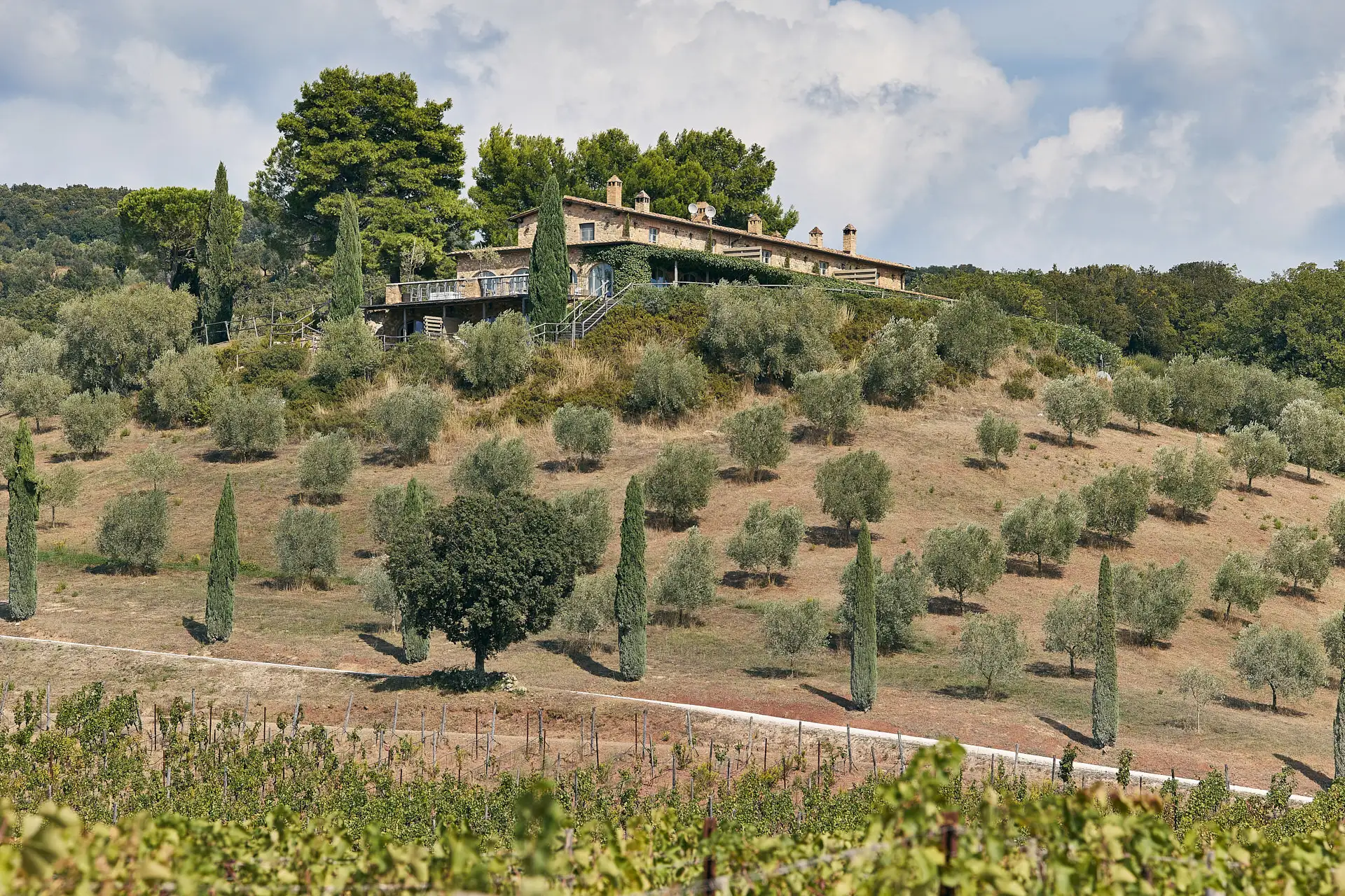 conti di san bonifacio wedding