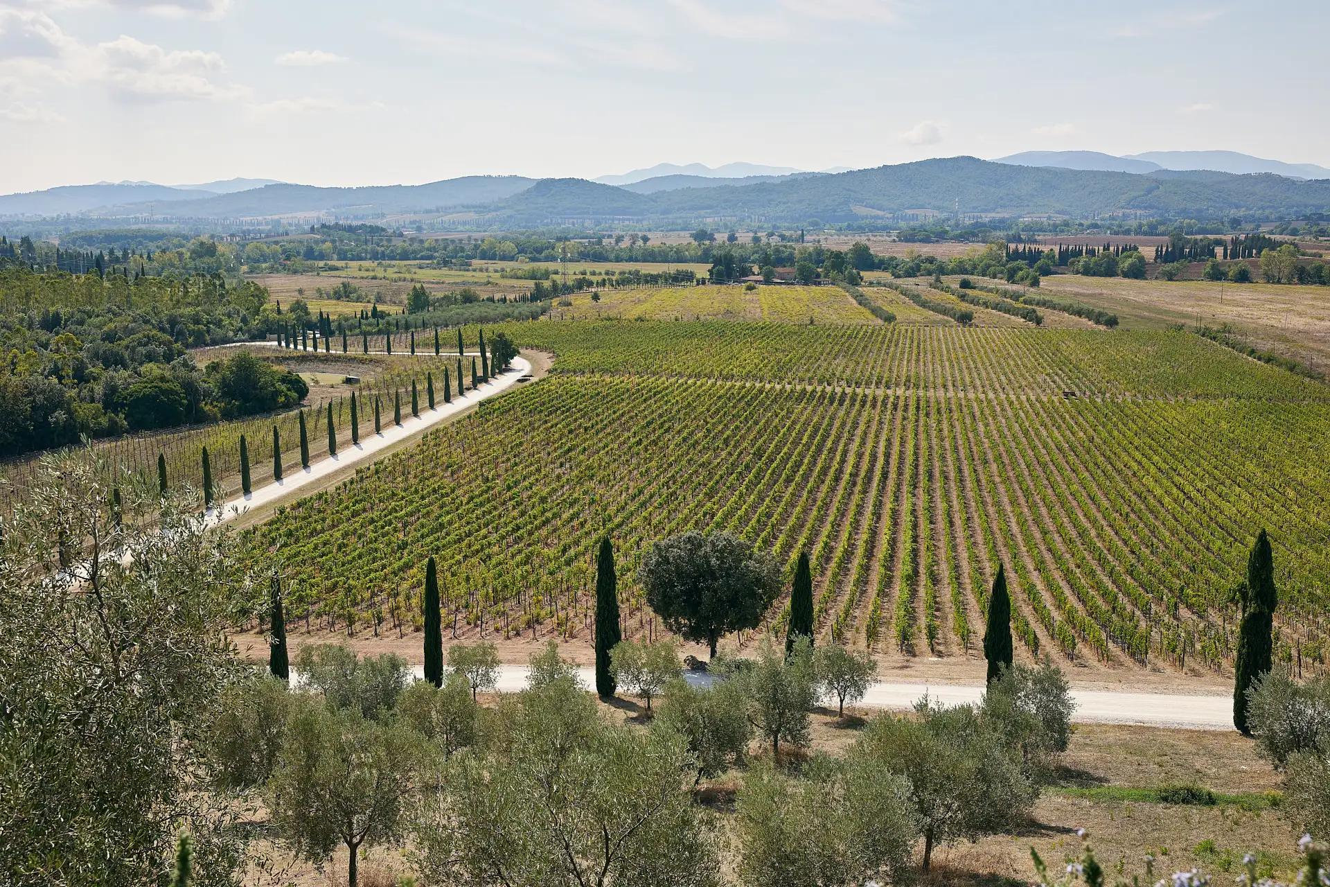 conti di san bonifacio wedding