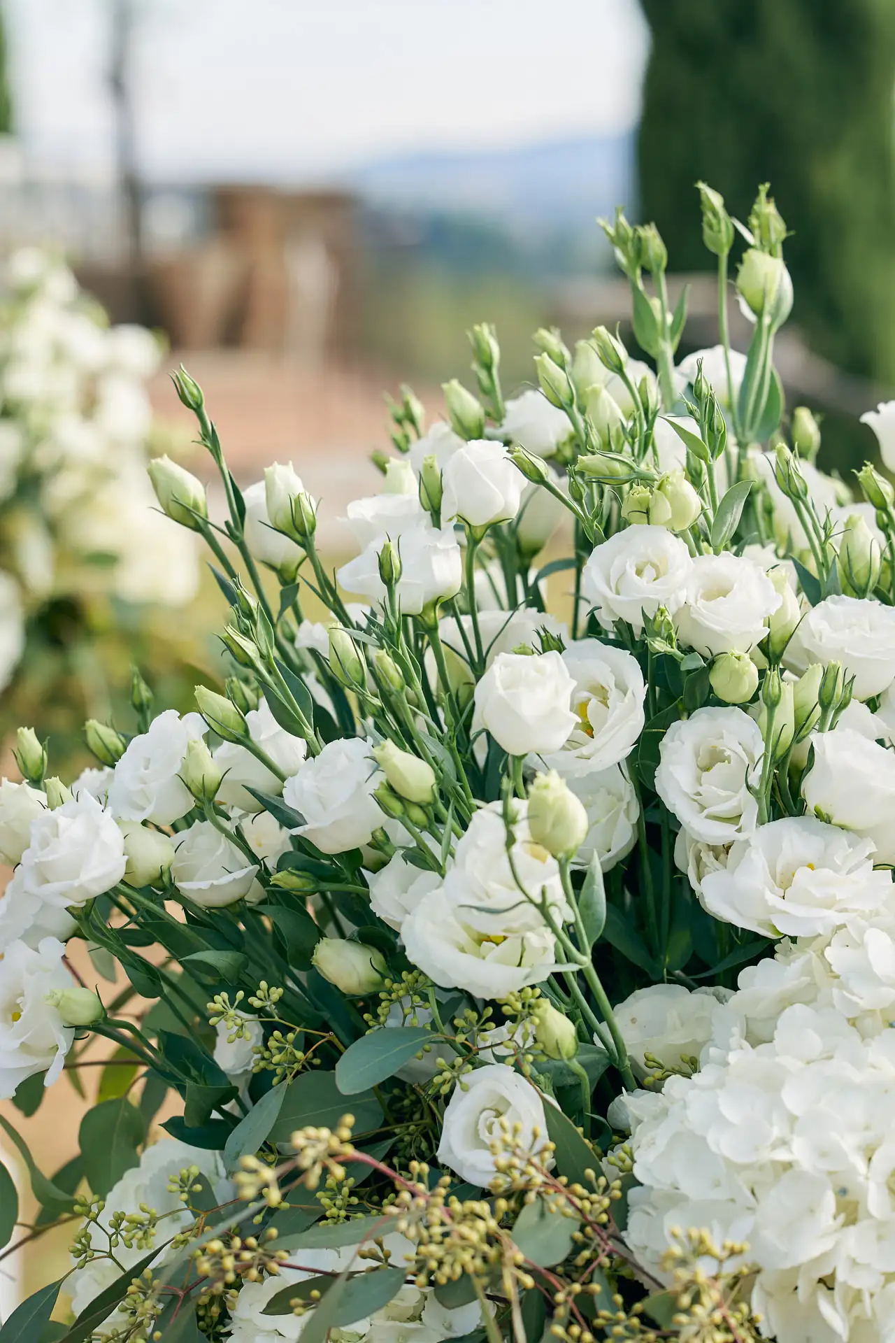 conti di san bonifacio wedding