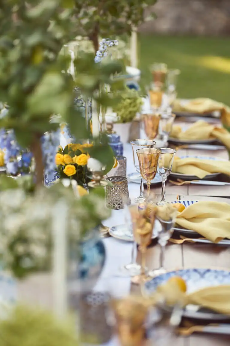 welcome dinner under stars