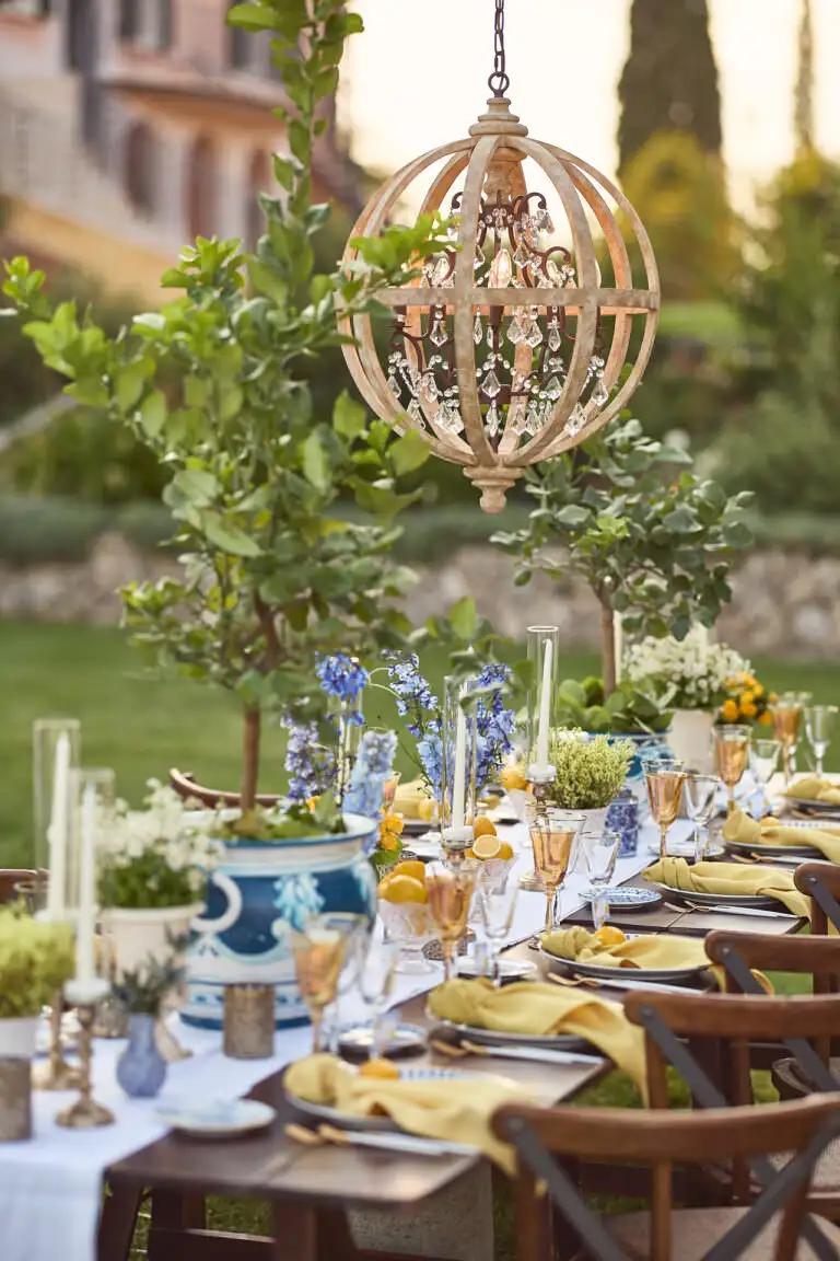 welcome dinner under stars