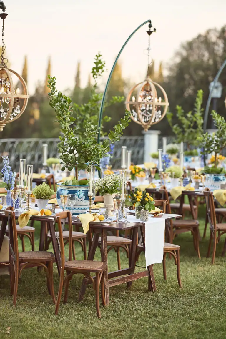 welcome dinner under stars
