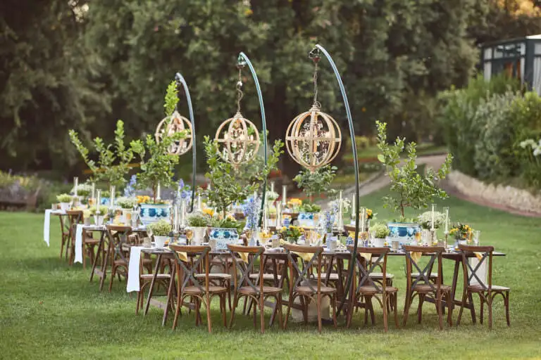 welcome dinner under stars