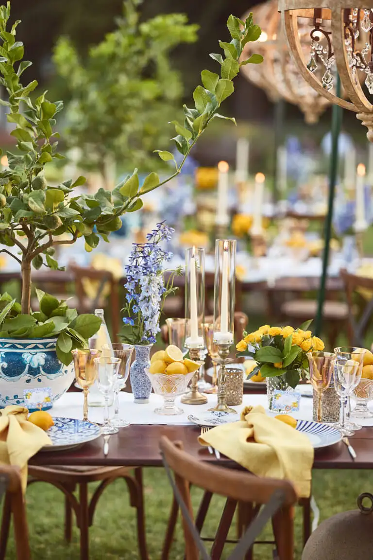welcome dinner under stars