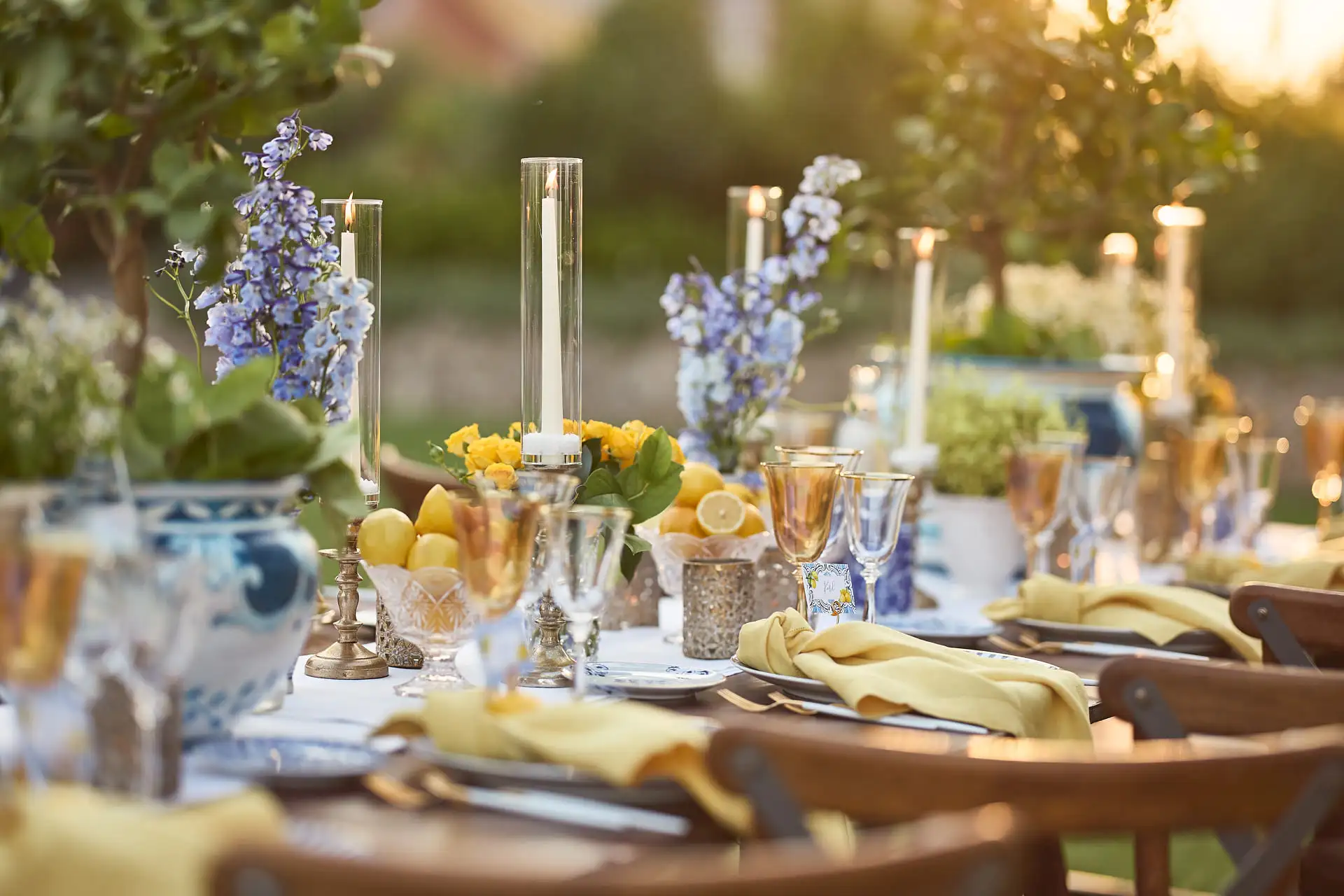 welcome dinner under stars