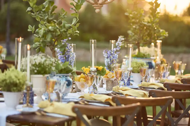 welcome dinner under stars