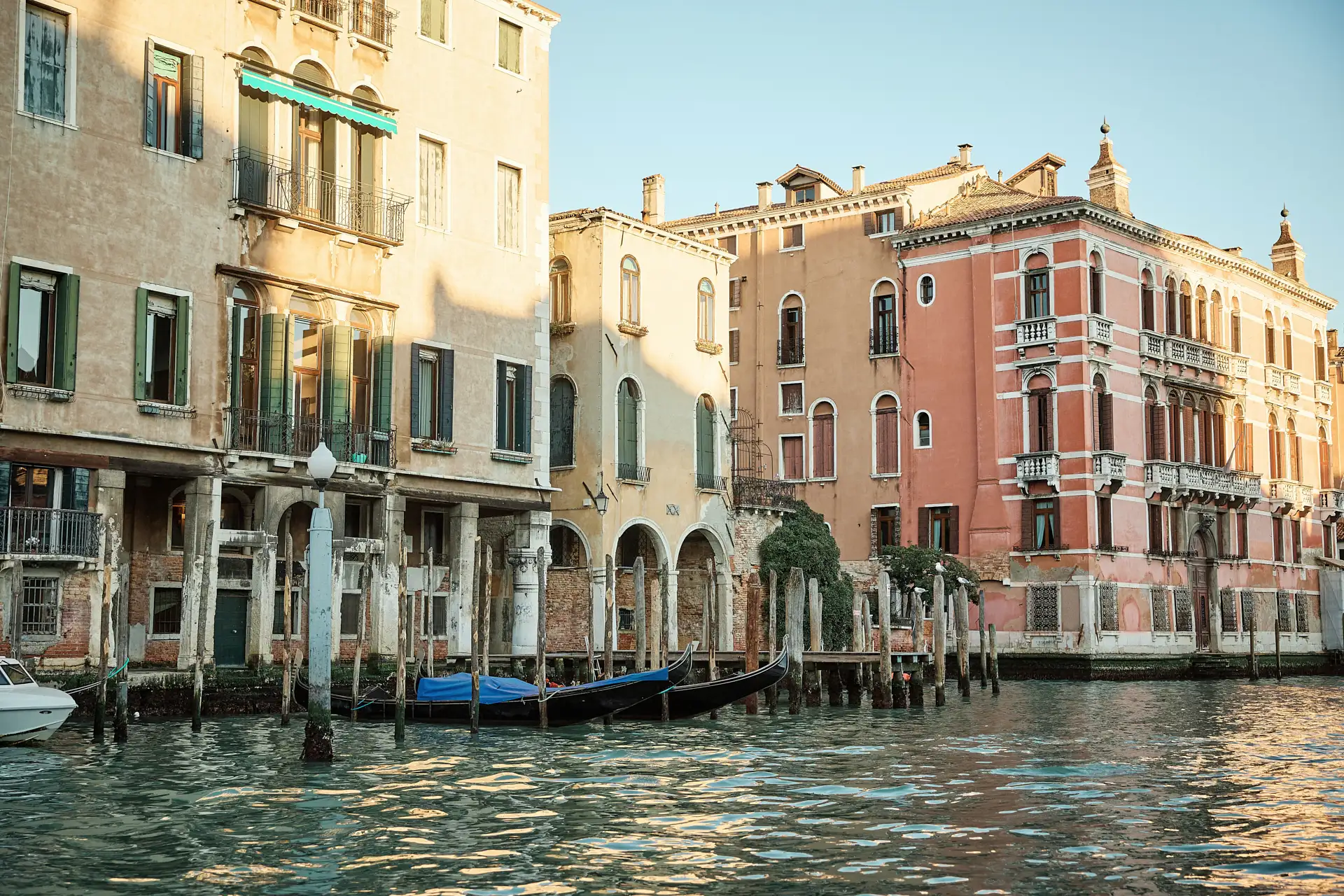 stylish venice engagement shoot