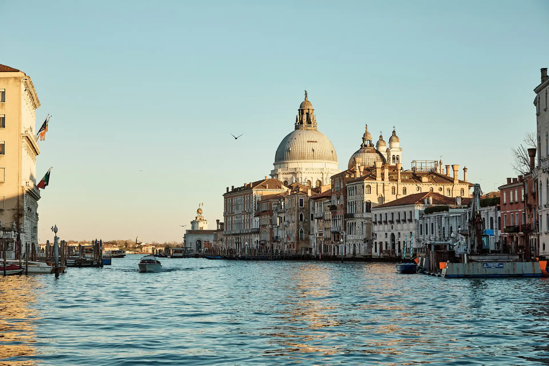 stylish venice engagement shoot