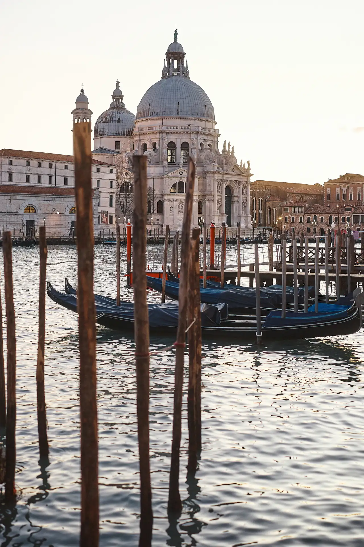 stylish venice engagement shoot